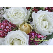 एक दूसरे से प्यार करो