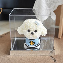 可爱的绣球花幼犬造型——马尔济斯/比熊犬风格，配以黄色小鸭图案