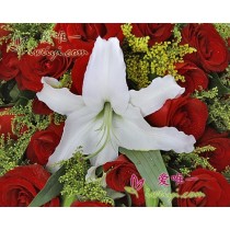 O amor é como um arco-íris.