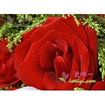 O amor é como um arco-íris.