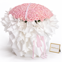 The Bouquet of 520 Pink Roses « Eternal Love Blossom »