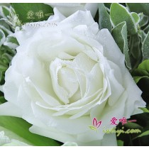 मैं हमेशा तुम्हारे लिए यहाँ रहूँगा