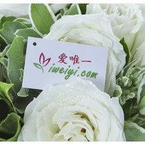 मैं हमेशा तुम्हारे लिए यहाँ रहूँगा