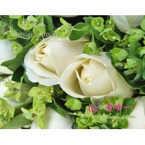 खुश प्यार