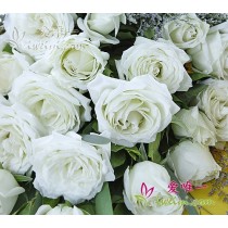 लगातार गायब