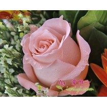 10 frische rosa Rosen