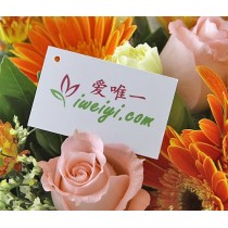 rosas cor-de-rosa e gérberas laranja