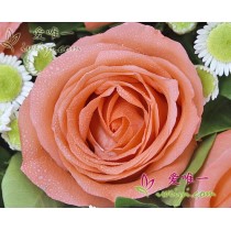 मुझे यह पसंद है