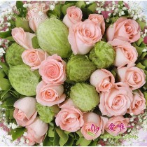 तुम मेरे दिल में आइवी हो