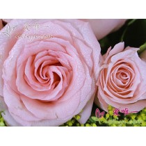 花束 « 爱无处不在 »