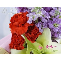 चमकदार और उज्ज्वल