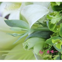 Brilhante e reluzente