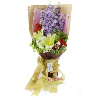 Brillante e luminoso