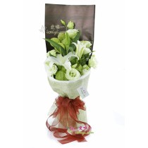 कोमल और गर्म