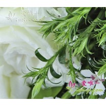 हा करता हु