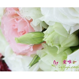 5 blooming pink roses and 5 white roses