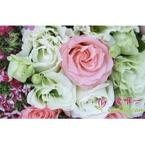 Rosas rosas y blancas
