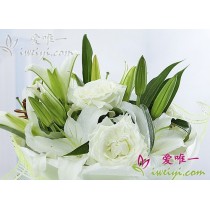 मैं तुम्हें प्यार करता हूँ