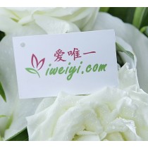 मैं तुम्हें प्यार करता हूँ