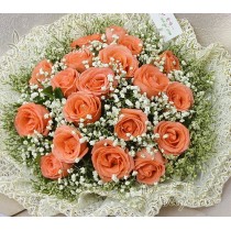 19 rosas cor-de-rosa em plena floração