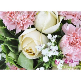 6 champagne roses accented with 8 pink carnations, white pinathus japonicus and solidago decurrens.