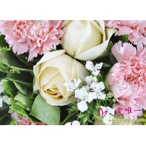6 朵香檳玫瑰點綴著 8 朵粉紅康乃馨、白色日本松和一枝黃花。