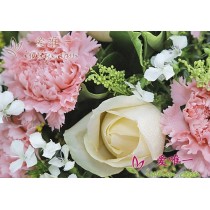 गुलाब और कारनेशन