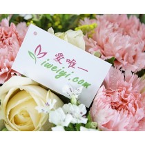 香檳玫瑰、粉紅康乃馨