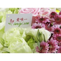 मेरा पसंदीदा