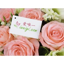 Pink beauty