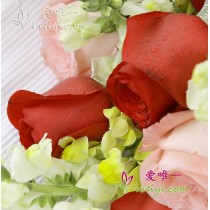 Rosas vermelhas e rosas cor-de-rosa.