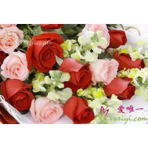 Roses and snapdragon flowers.