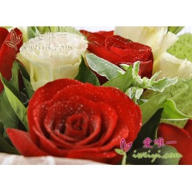 11 blooming red roses, champagne lisianthus, club fruits, euphorbia marginata and fresh greens.