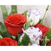 11 rosas vermelhas com detalhes em lisianthus branco e roxo.