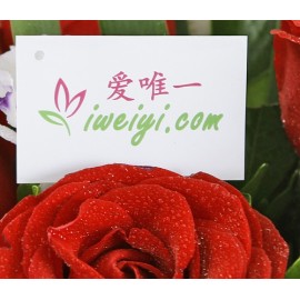 Send a bouquet of 11 red roses to China.