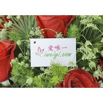 水漾紅色玫