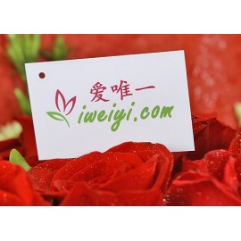 Send a bouquet of red roses to China