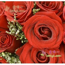 33 rosas vermelhas frescas de primeira qualidade