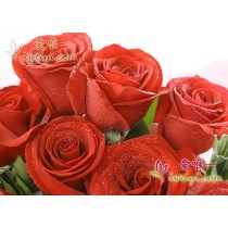 19 fresh red roses in full bloom gathered with gardenia leaves.