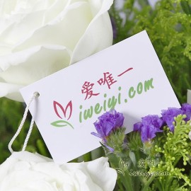 Senden Sie einen Strauß weißer Rosen nach China