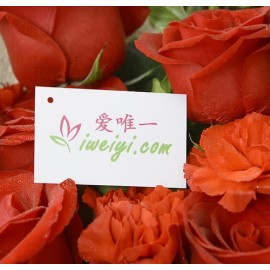 Send a bouquet of red roses and red carnations to China