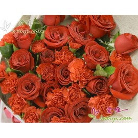 16 premium red roses and 14 red carnations, accented with fresh greens.