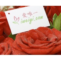 紅塵有愛