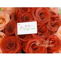 जिसे आप प्यार करते हैं उसे भी आपसे प्यार करना चाहिए