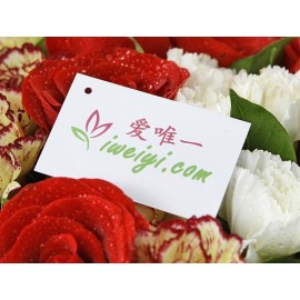 Ce bouquet de roses rouges et d'œillets peut être livré partout en Chine, y compris à Hong Kong, Macao et Taïwan.