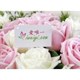 Send a bouquet of pink and white roses to China