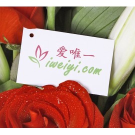 Senden Sie einen Strauß roter Rosen und weißer Lilien nach China