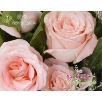 मैं तुम्हें प्यार करता हूँ