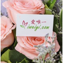 मैं तुम्हें प्यार करता हूँ