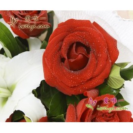 12 hochwertige rote Rosen, akzentuiert von 3 mehrstämmigen